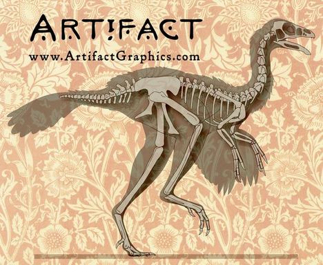 Caudipteryx bone map by Michelle Leveille